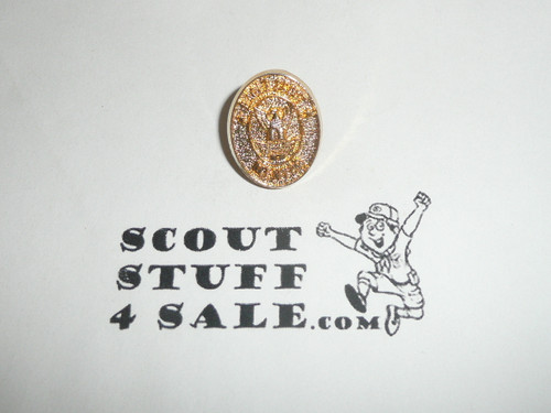 Eagle Scout Mentor Pin, Gold color