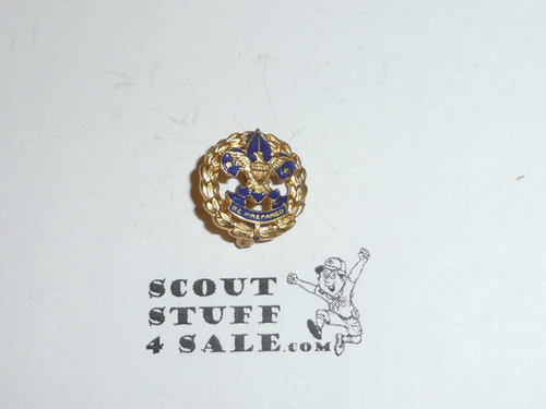 Neighborhood Commisioner Lapel Pin, Tall Crown, Vertical Spin Lock Back, MINT Condition