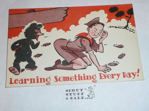 Generic BSA National Supply Cartoon Post card, Learning Something Every Day, 1947
