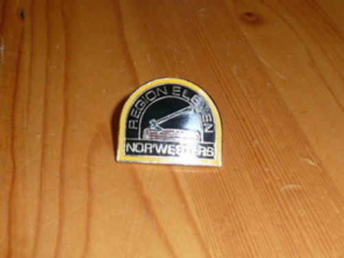 BSA Region 11 Pin - Scout