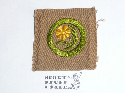 Botany - Type A - Square Tan Merit Badge (1911-1933), lt use