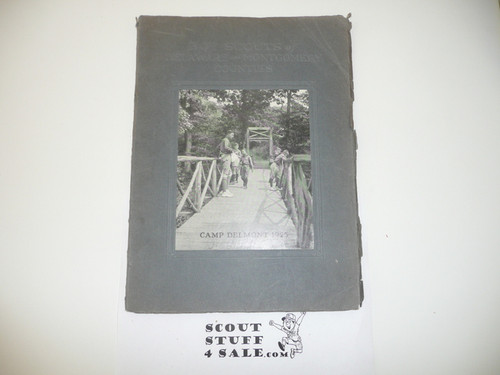 1925 Annual Report Delaware and Montgomery County Council, Great Information