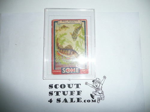 1933 Some Boy Chewing Gum Boy Scout Card Set By the Goudey Gum Company, Boston Ma, #19 The Yellow Perch