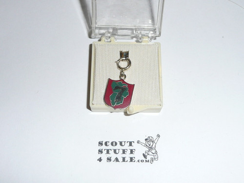 Region 7 Pendant
