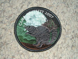 2007 Camp Whitsett Patch - Scout