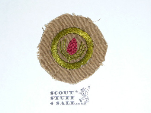 Forestry - Type A - Square Tan Merit Badge (1911-1933), Material trimmed and badge used