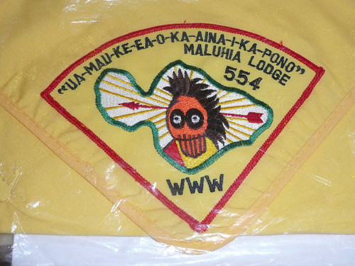 Order of the Arrow Lodge #554 Maluhia P1 Pie on Neckerchief