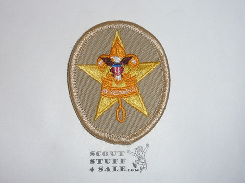 Star Rank Patch - 1989-current - Type 17, Lite Use