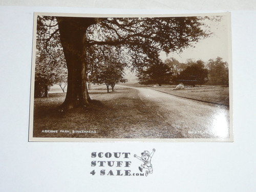 1929 World Jamboree, Postcard "Arrowe Park More Trees"