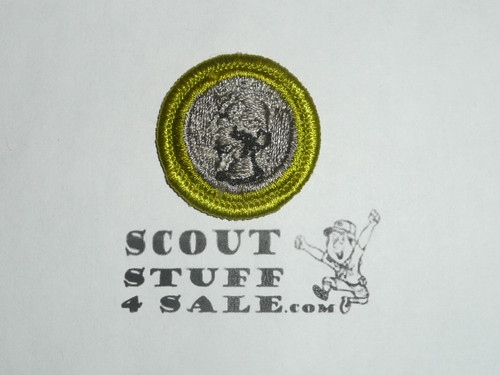 Coin Collecting (white letters) - Type H - Fully Embroidered Plastic Back Merit Badge (1972-2002)