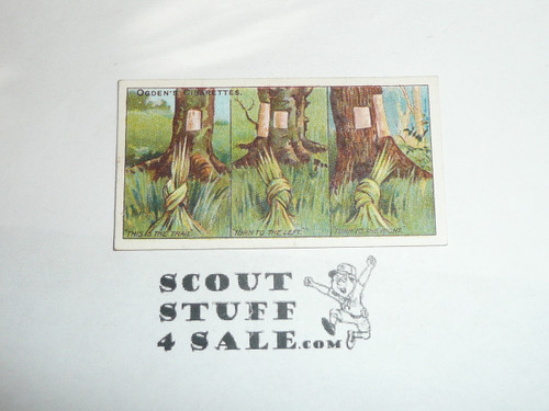 Ogden Tabacco Company Premium Card, Second Boy Scout Series of 50 (Blue Backs), Card #84 Useful Trail Markers, 1912