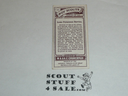 Churchman Cigarette Company Premium Card, Boy Scout Series of 50, Card #35 Some Poisonous Berries, 1916