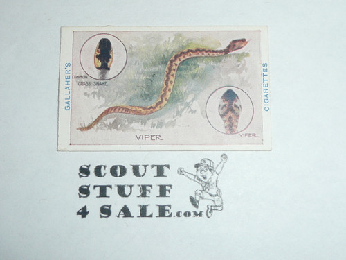 Gallaher ltd Cigarette Company Premium Card, Boy Scout Series of 100, Card #16 Reptiles, 1911