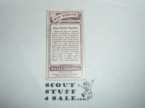 Churchman Cigarette Company Premium Card, Boy Scout Series of 50, Card #31 Some British Reptiles, 1916