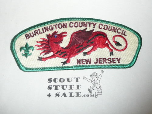 Burlington County Council s13 CSP - Scout