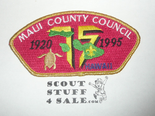 Maui County Council sa4 CSP - Scout