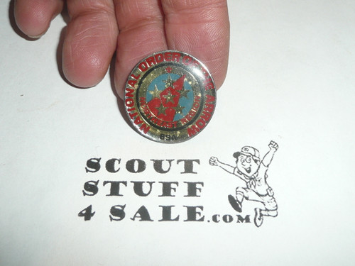 National Order of the Arrow Northeast Region Pin
