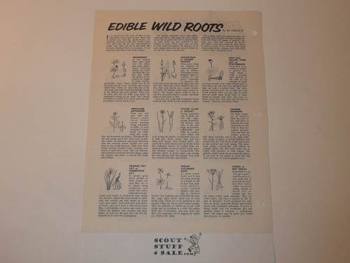Edible Wild Summer Greens, By Ed Hinckley, Boys' Life Single Topic Reprint from the 1950's - 1960's , written for Scouts, great teaching materials