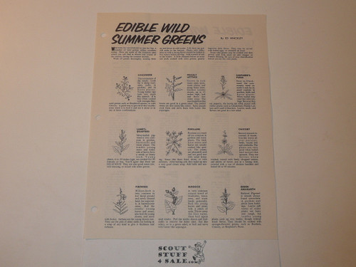 Edible Wild Summer Greens, By Ed Hinckley, Boys' Life Single Topic Reprint from the 1950's - 1960's , written for Scouts, great teaching materials