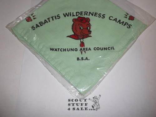 Sabattis Wilderness Camp Neckerchief, Watchung Area Council, mint green