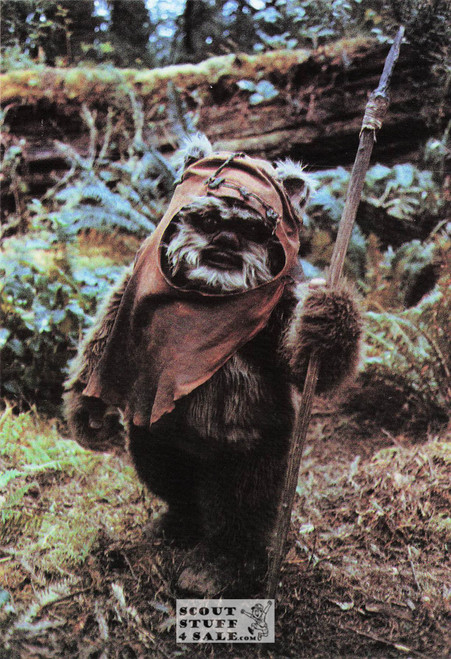 Star Wars Return of the Jedi Postcard by Classico SF #105-091