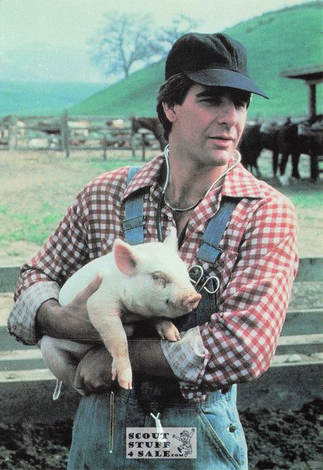 Quantum Leap Postcard by Classico San Francisco #105-202