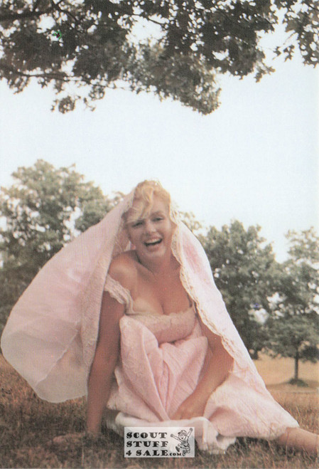 Marilyn Monroe Sam Shaw Photo Postcard by Classico San Francisco #105-216