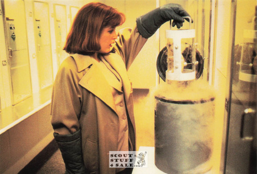 The X Files Postcard by Classico San Francisco #105-390