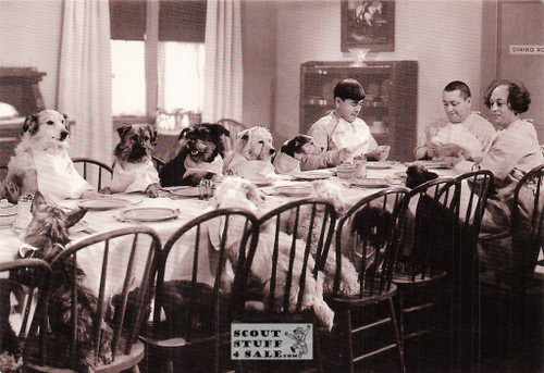 The Three Stoogies Black/White Postcard by Classico SF/Ludlow #136-549