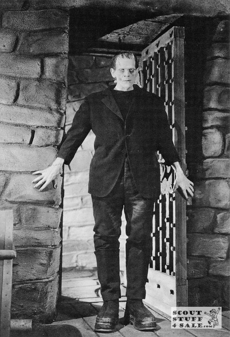 Frankenstein Movie Postcard by Classico San Francisco #233-001