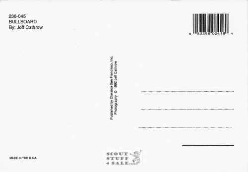 BULLBOARD Jeff Cathrow Photo Postcard by Classico SF #236-045