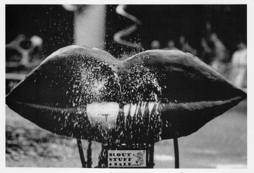LIPSPLASH Jeff Cathrow Photo Postcard by Classico SF #236-049