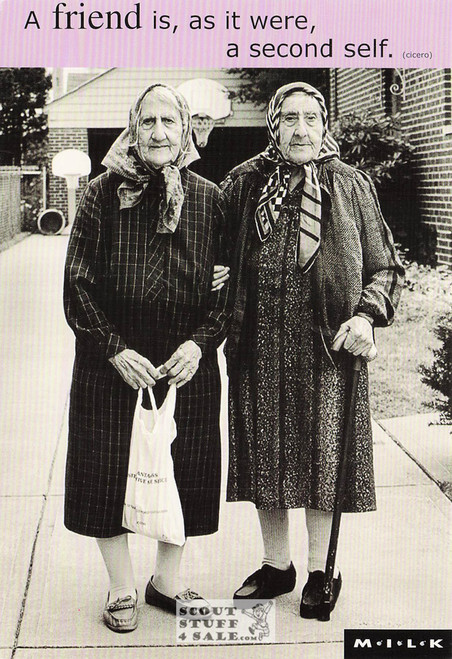 Moments Intimacy Laughter Kinship (MILK) Postcard by Classico SF #240-003