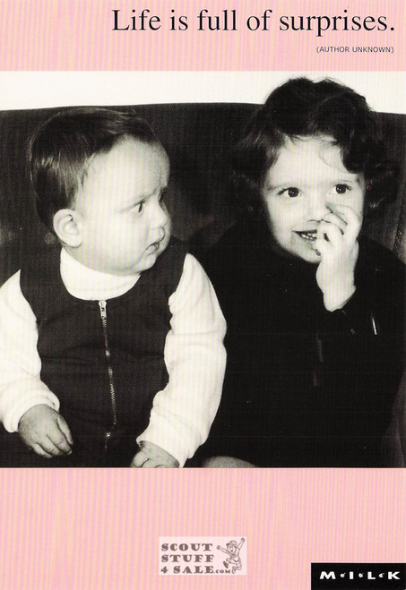 Moments Intimacy Laughter Kinship (MILK) Postcard by Classico SF #240-007