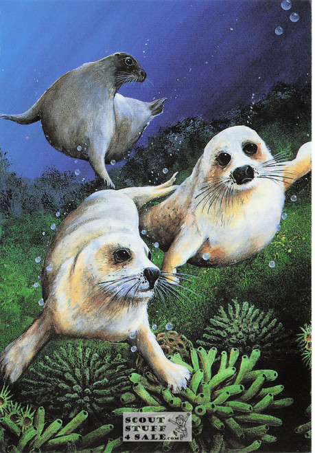Sea Otter Wildlife Artwork Postcard Series by Classico San Francisco #263-001