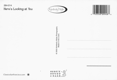 Here's Looking at You Kimberly Wylie Photography Postcard Classico #264-014