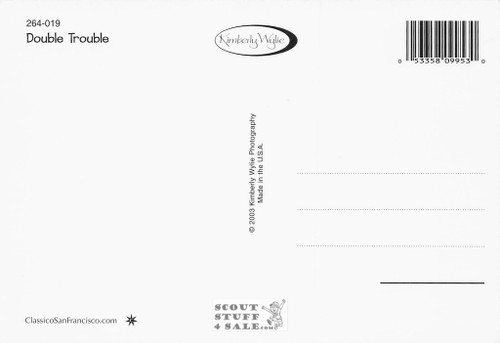 Double Trouble Kimberly Wylie Photography Postcard by Classico SF #264-019