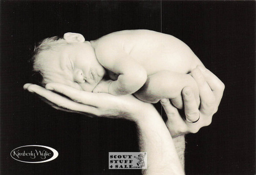 Sleepy Time Kimberly Wylie Photography Postcard by Classico SF #264-022