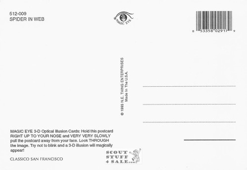 Spider in Web - Magic Eye 3D Optical Illusion Postcard, Classico SF #512-009