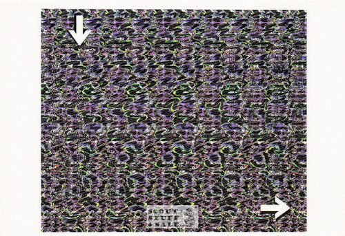 Maze - Magic Eye 3D Optical Illusion Postcard, Classico San Francisco #512-166