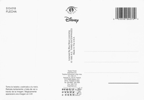 Robin Hood Disney Magic Eye 3D Optical Illusion Postcard, Classico SF #513-018