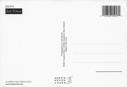 Judy Reinen Dog  Photography Postcard, Classico San Francisco #520-014