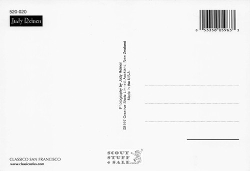 Judy Reinen Dog  Photography Postcard, Classico San Francisco #520-020