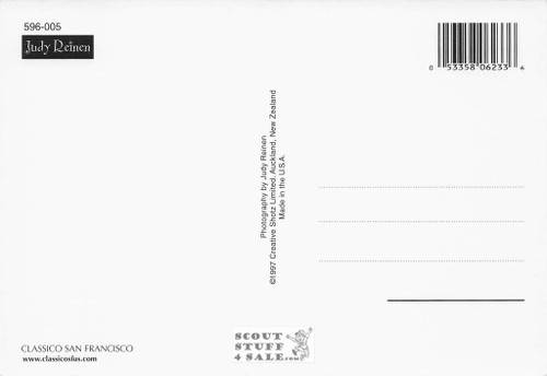 Judy Reinen Photography Wedding Postcard by Classico San Francisco #596-005