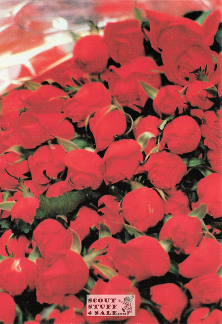 Judy Reinen Photography Wedding Postcard by Classico San Francisco #596-012