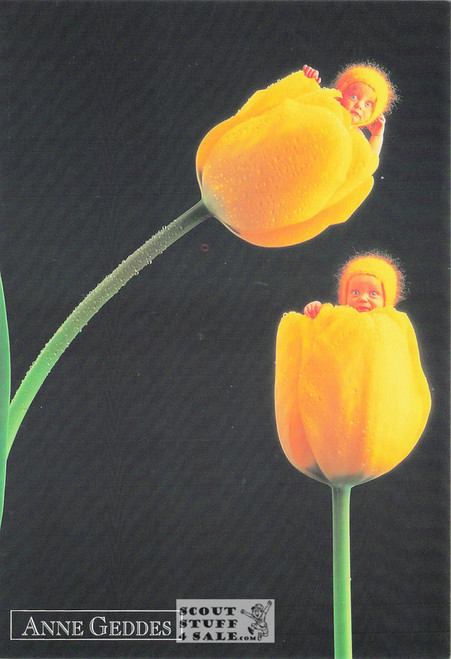 Anne Geddes Photography Postcard by Classico San Francisco #605-016v2