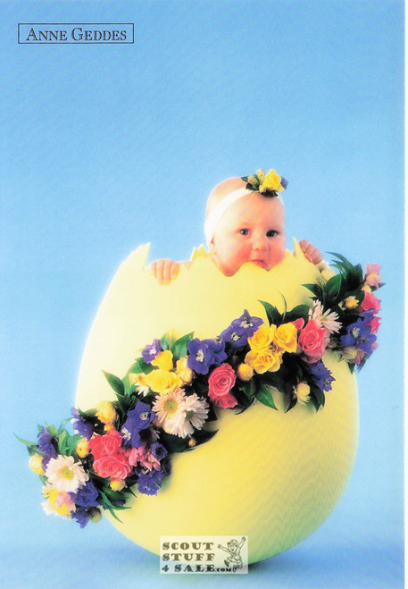 Anne Geddes Photography Postcard by Classico San Francisco #605-102