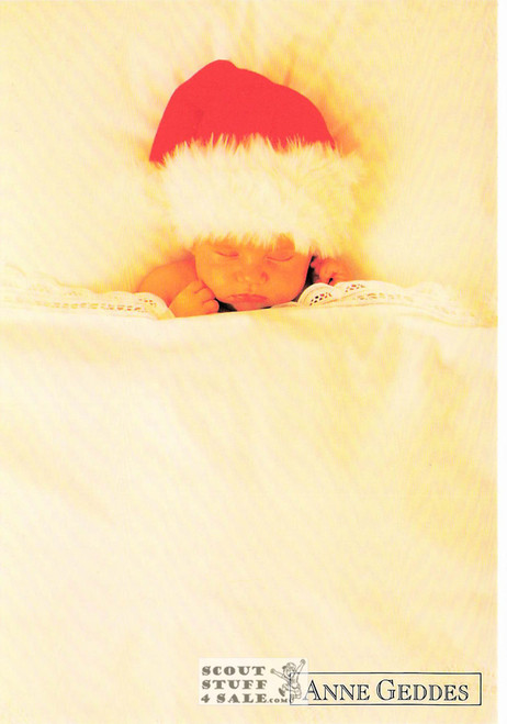 Anne Geddes Photography Christmas Postcard by Classico San Francisco #605-523v2