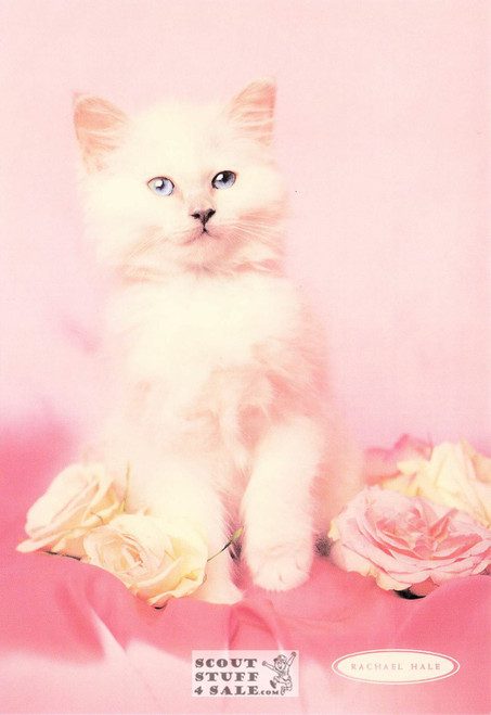 Marie Antoinette, Rachael Hale Animal Photography Postcard, Classico SF #628-008