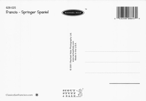 Francis, Rachael Hale Animal Photography Postcard, Classico SF #628-025